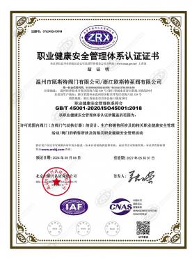 職業(yè)健康安全管理體系認(rèn)證證書
